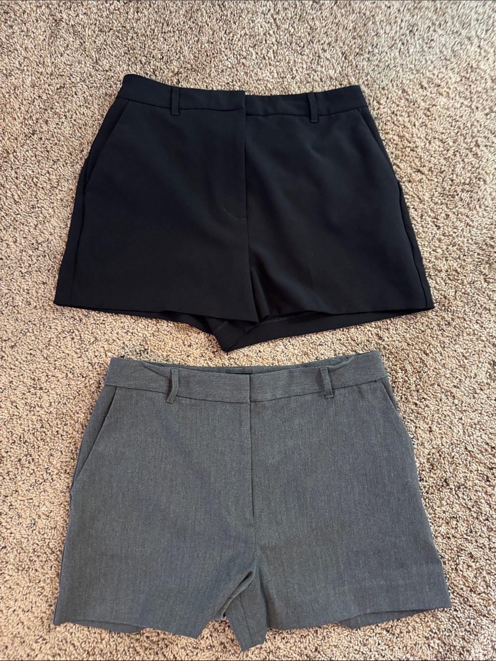 Express Women's Classic High-Rise Tailored Shorts - Black & Gray